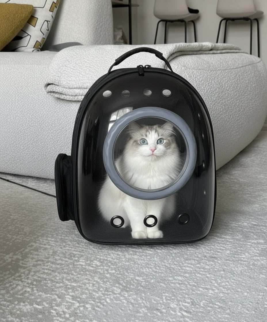 Transporttasche mit Katze Frontal Ansicht - CatCapsule