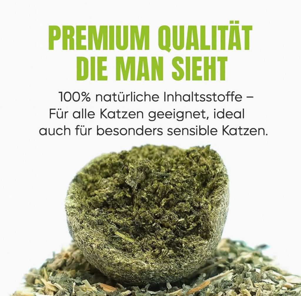 Katzenminze in premium Qualität - Katzenparadies
