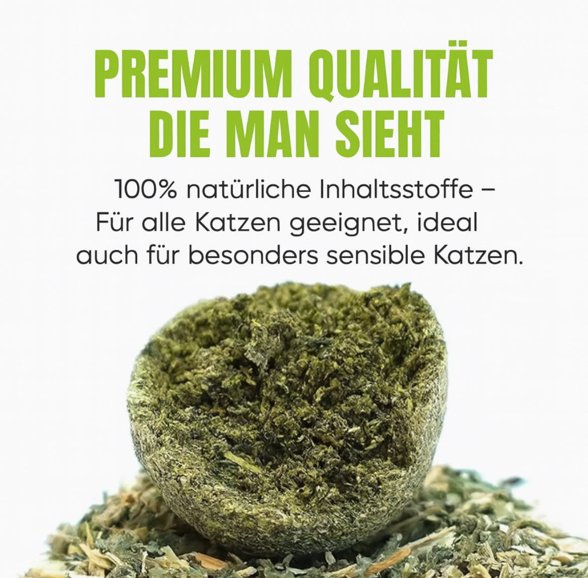 Katzenminze in premium Qualität - Katzenparadies