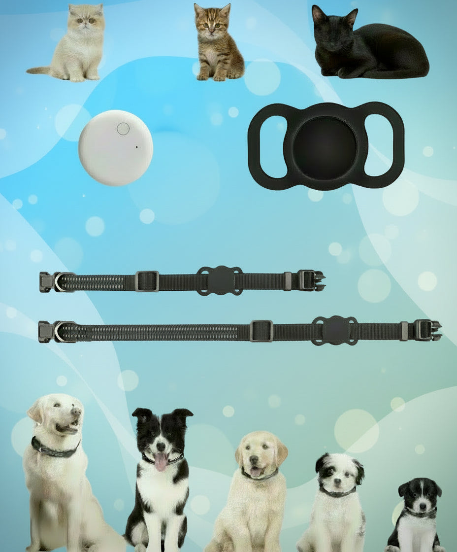 StayClose Tracker für Hunde und Katzen mit Halsband Universal für alle Größen 