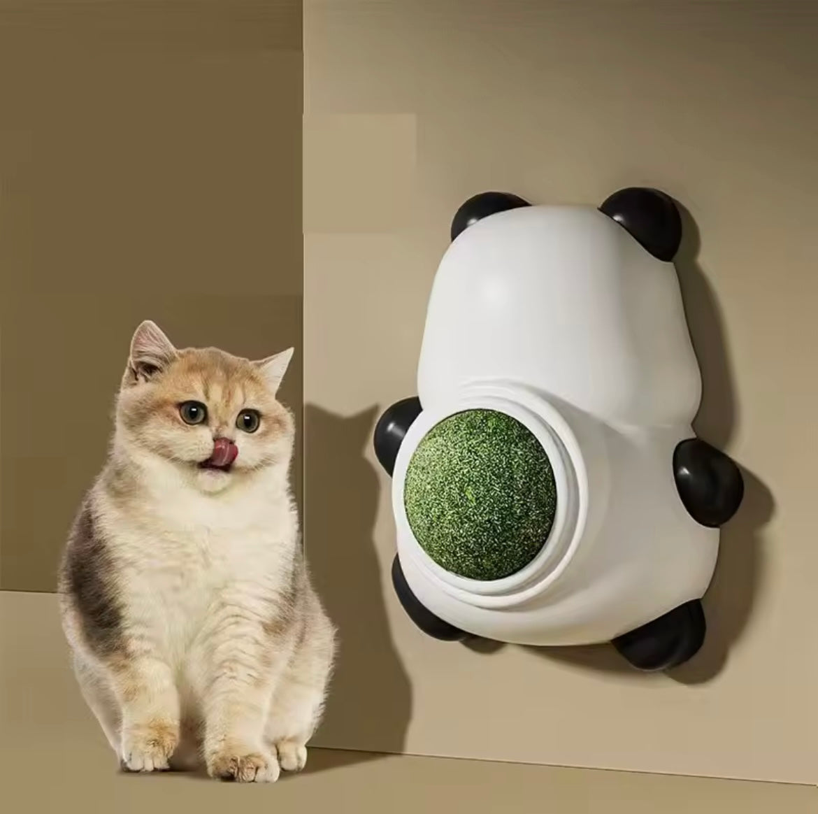 Katzenparadies